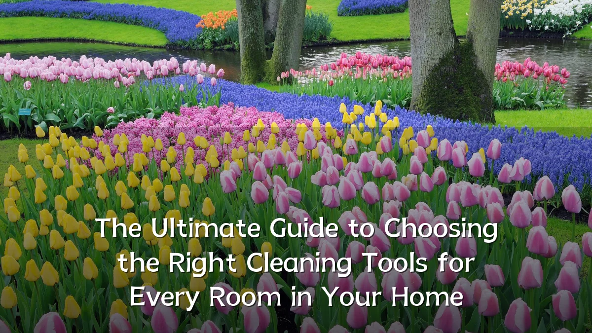 The Ultimate Guide to Choosing the Right Cleaning Tools for Every Room in Your Home