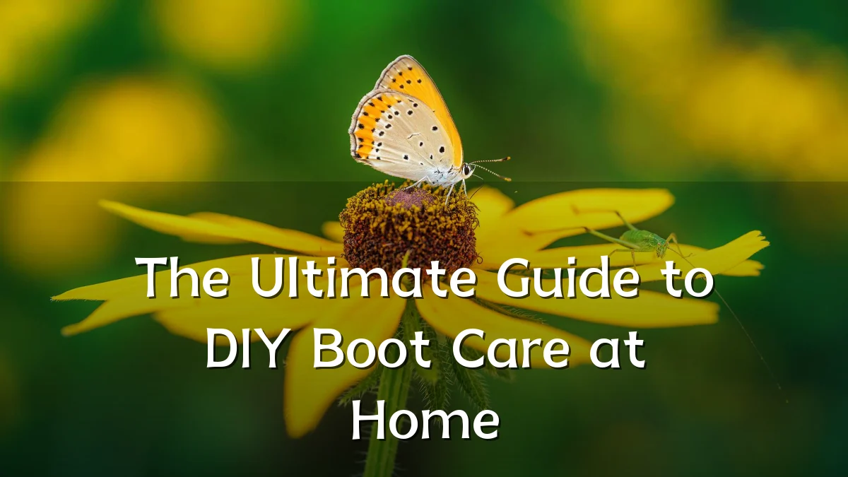 The Ultimate Guide to DIY Boot Care at Home