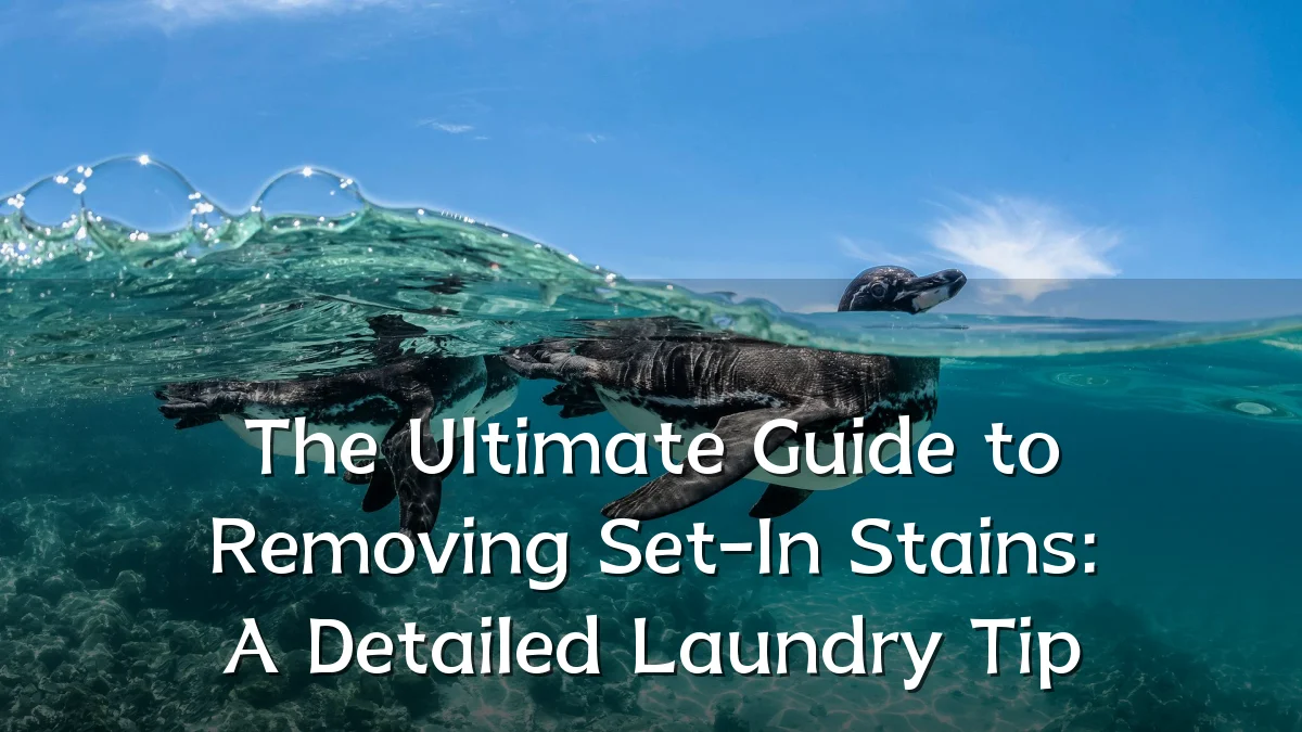 The Ultimate Guide to Removing Set-In Stains: A Detailed Laundry Tip