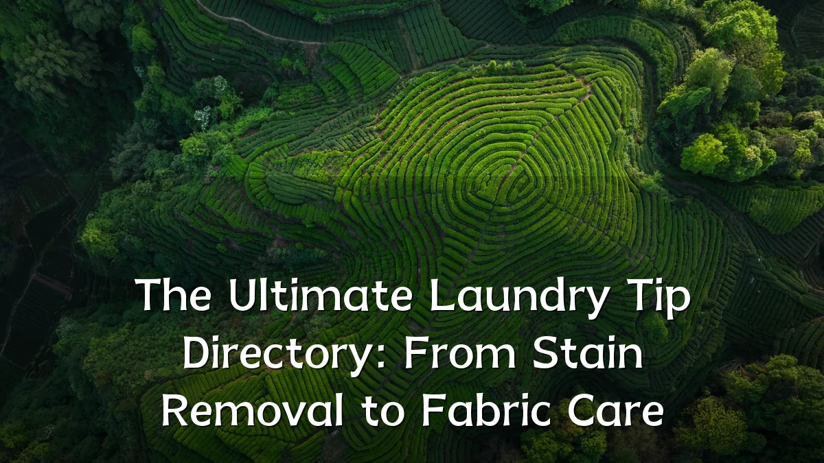 The Ultimate Laundry Tip Directory: From Stain Removal to Fabric Care