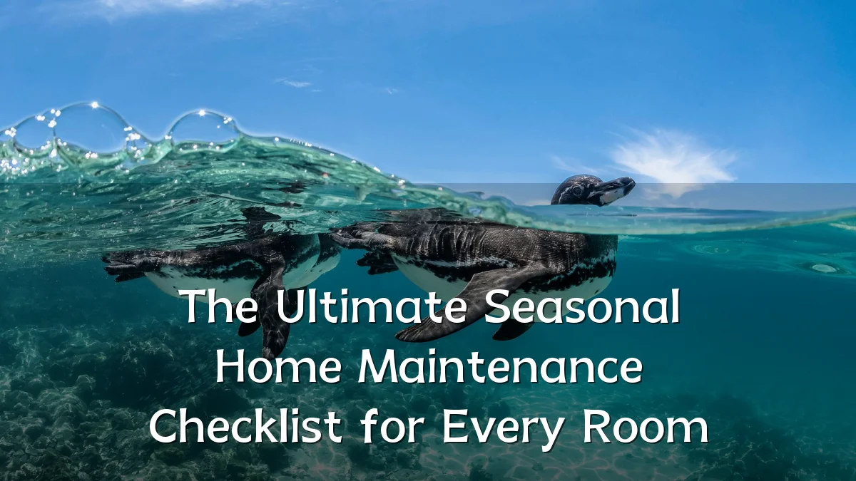 The Ultimate Seasonal Home Maintenance Checklist for Every Room