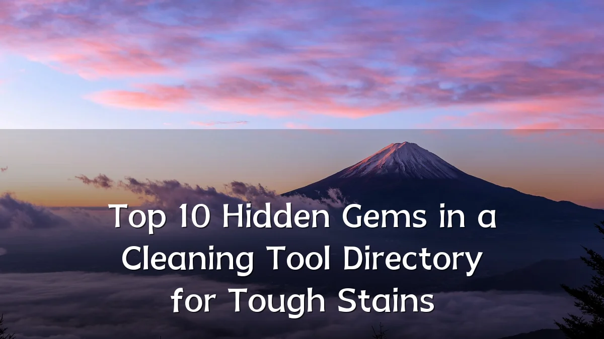 Top 10 Hidden Gems in a Cleaning Tool Directory for Tough Stains