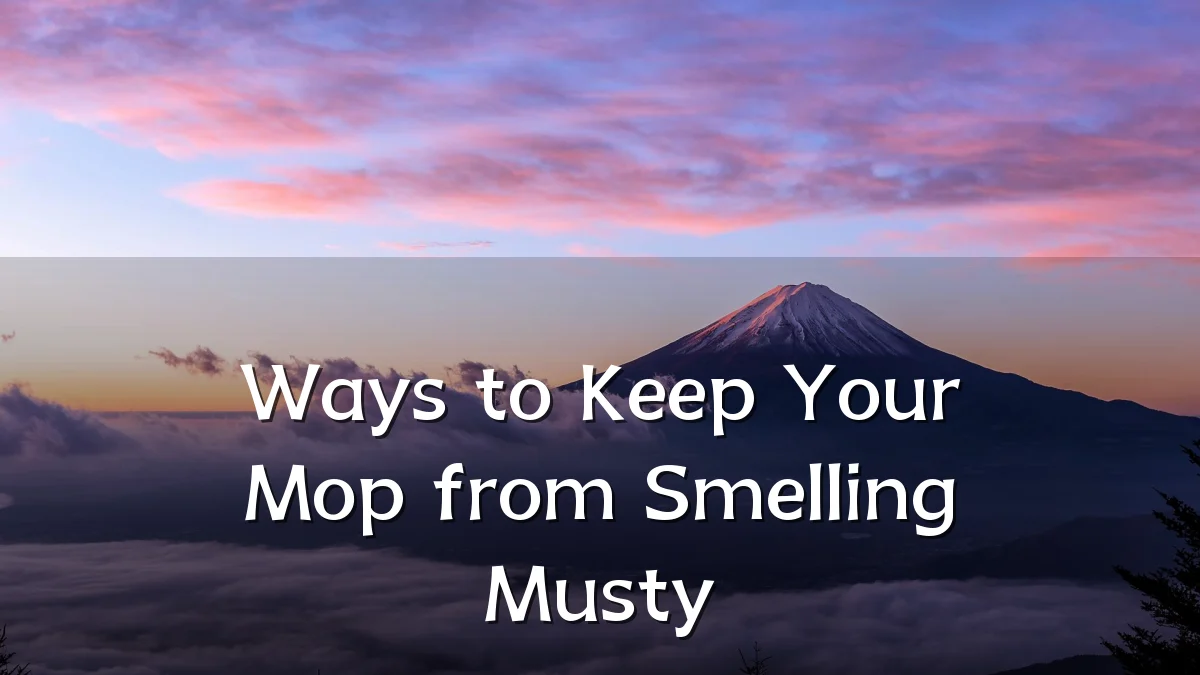 Ways to Keep Your Mop from Smelling Musty