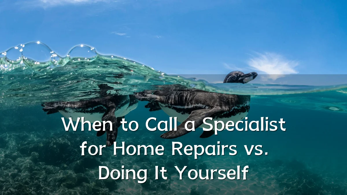 When to Call a Specialist for Home Repairs vs. Doing It Yourself