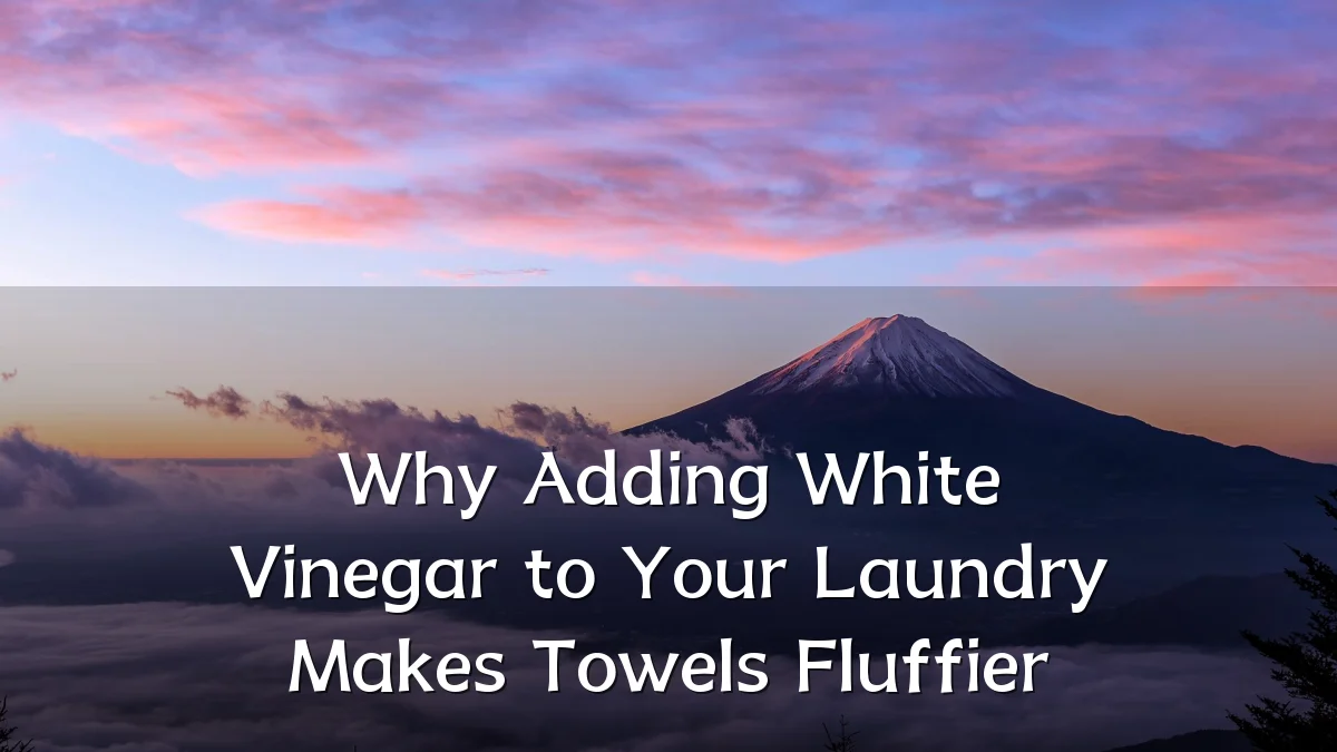 Why Adding White Vinegar to Your Laundry Makes Towels Fluffier