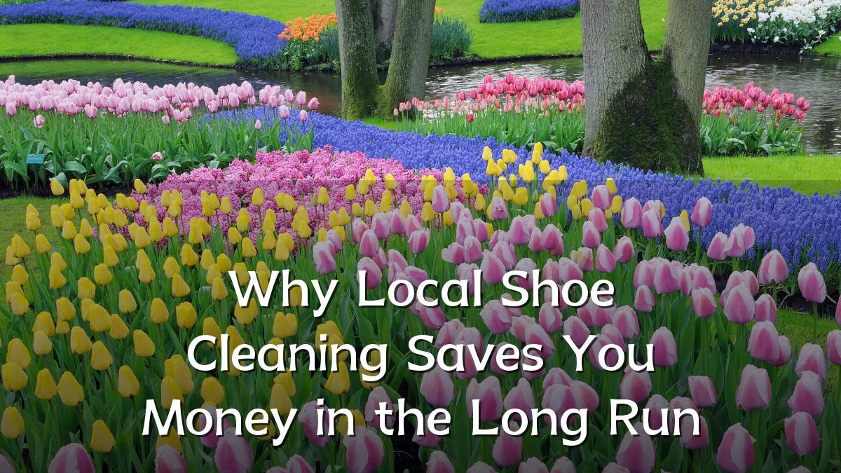 Why Local Shoe Cleaning Saves You Money in the Long Run