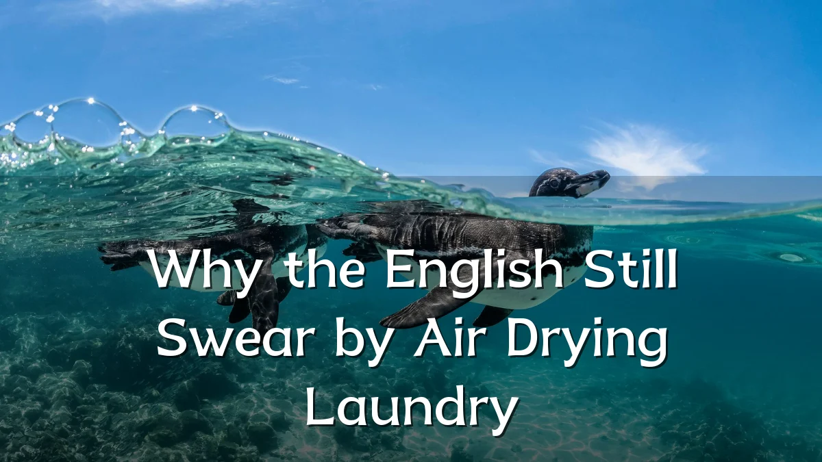 Why the English Still Swear by Air Drying Laundry