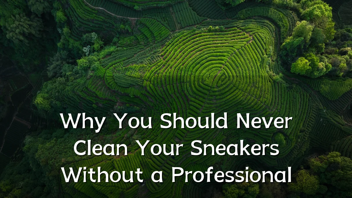 Why You Should Never Clean Your Sneakers Without a Professional