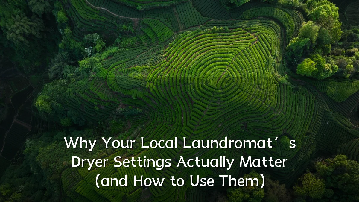 Why Your Local Laundromat’s Dryer Settings Actually Matter (and How to Use Them)